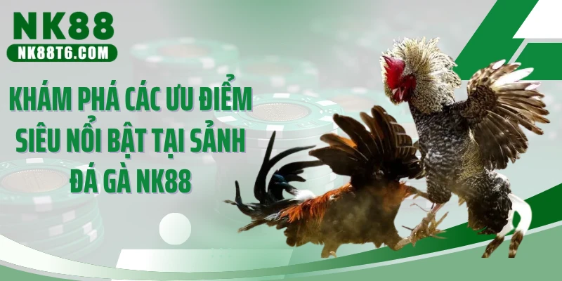 Khám phá các ưu điểm siêu nổi bật tại sảnh đá gà NK88