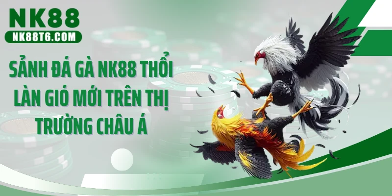 Sảnh đá gà NK88 thổi làn gió mới trên thị trường châu Á
